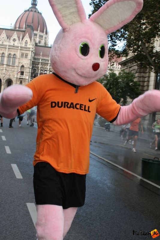 Nike Budapest Half Marathon, Duracell nyuszi, rózsaszín nyúl Nike pólóban