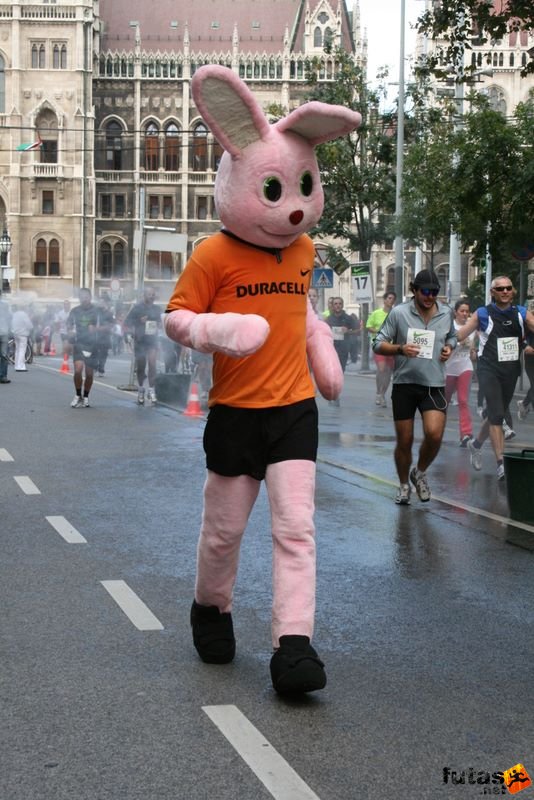 Budapest Half Marathon, is újra itt a Duracell nyuszi