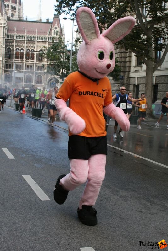 Budapest Half Marathon, fut a Nyúl