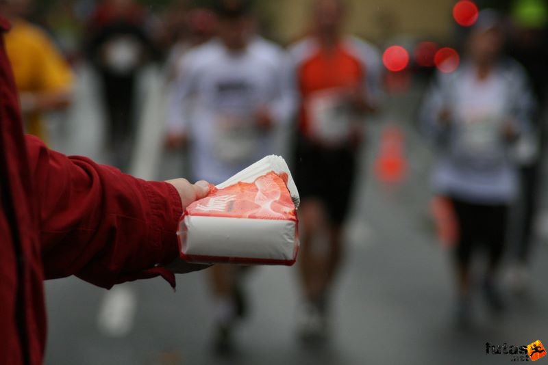Run Budapest Marathon in Hungary, Zsepi