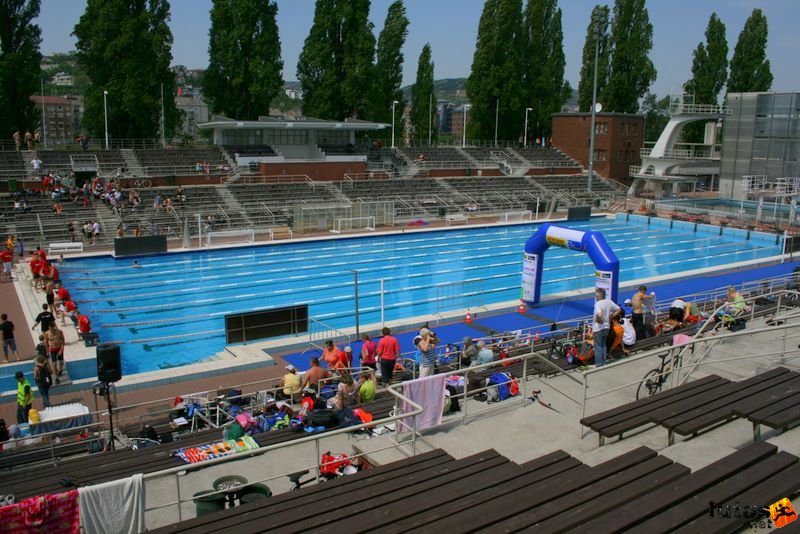 Margitsziget Triatlon, 50 méteres medence
