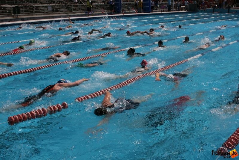 Margitsziget Triatlon, triatlon úszók