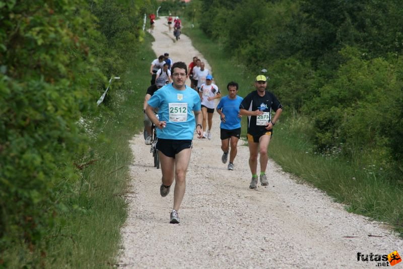Ultrabalaton futás 2010 futás futók Dörgicse után, Pénzügyminisztérium