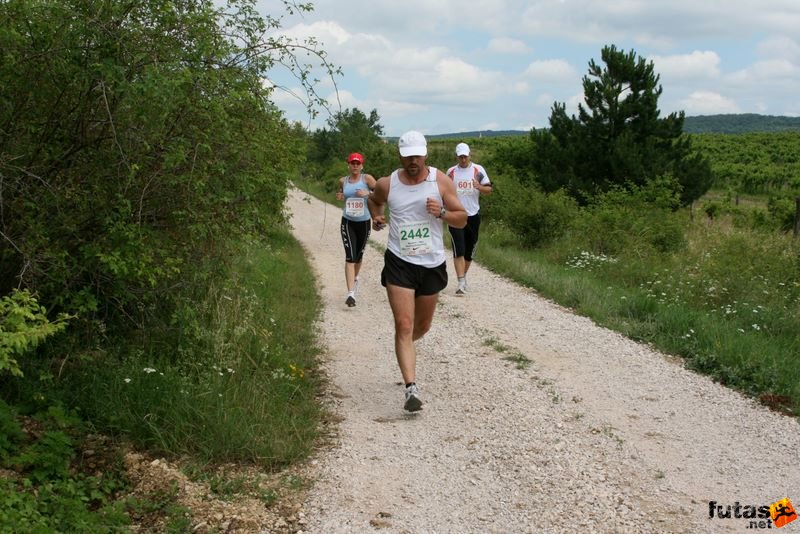 Ultrabalaton futás 2010 futás futók Dörgicse után, ultrabalaton_1053.jpg