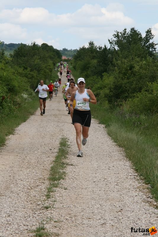 Ultrabalaton futás 2010 futás futók Dörgicse után, Búvárbéka futók
