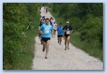 Ultrabalaton futás 2010 futás futók Dörgicse után Pénzügyminisztérium