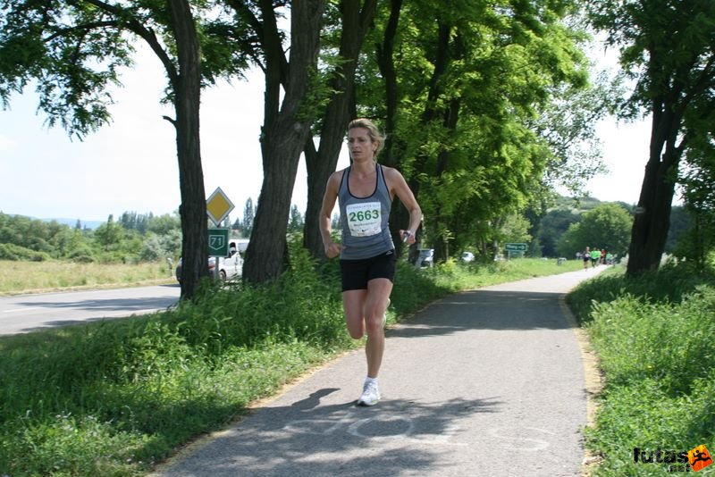 Ultrabalaton Rajt Tihany 2010, Mecsek dream team