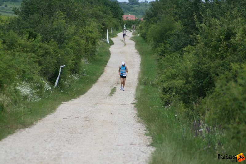 Ultrabalaton Ultramarathon 2010, Misi