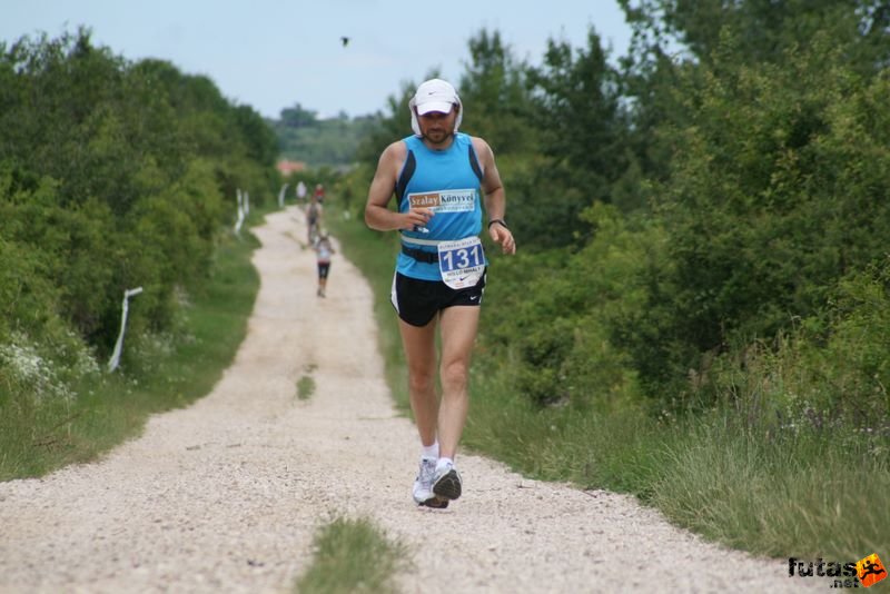 Ultrabalaton Ultramarathon 2010, Holló Mihály ultrafutó