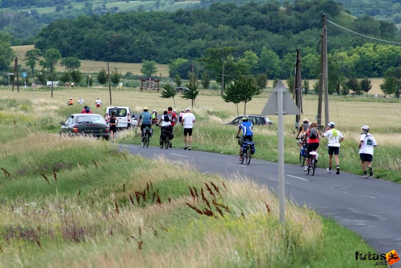 Ultrabalaton Ultramarathon 2010, Ultrabalaton futók