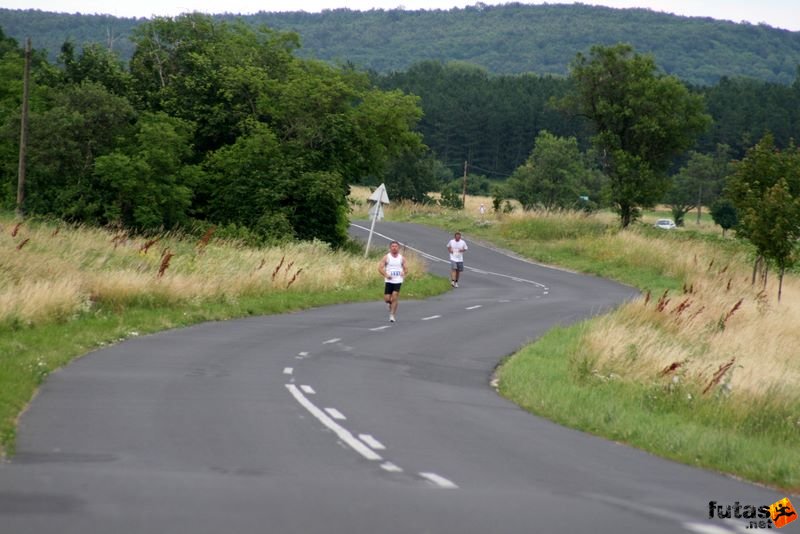 Ultrabalaton Ultramarathon 2010, Ultrabalaton futás