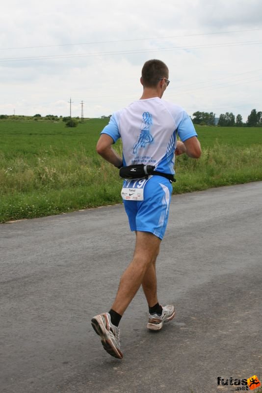 Ultrabalaton Ultramarathon 2010, Pivec Tomaž Sri Chinmoy Marathon Team