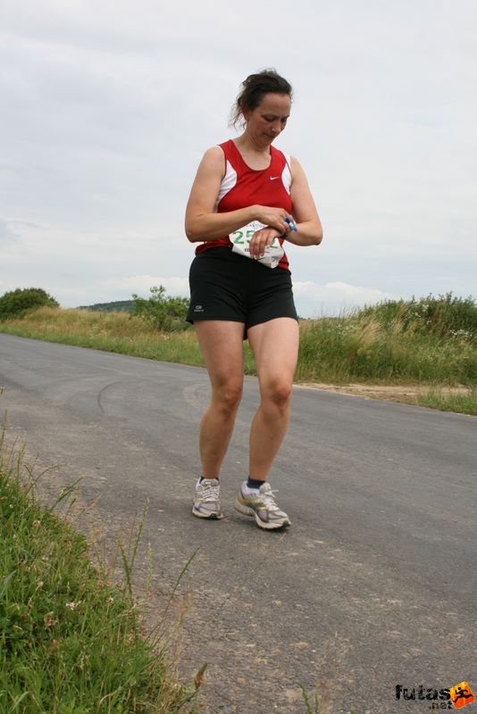 Ultrabalaton Ultramarathon 2010, EDZÉSONLINE