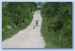 Ultrabalaton Ultramarathon 2010 Misi