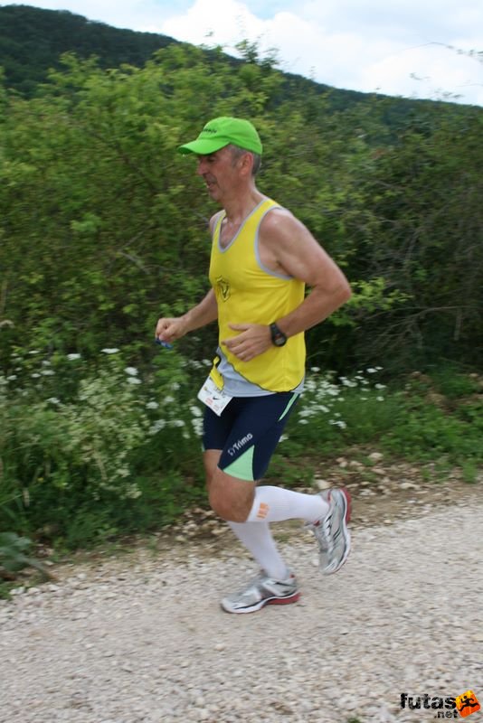 Ultrabalaton Running 2010, Rojc Leon ultrarunner