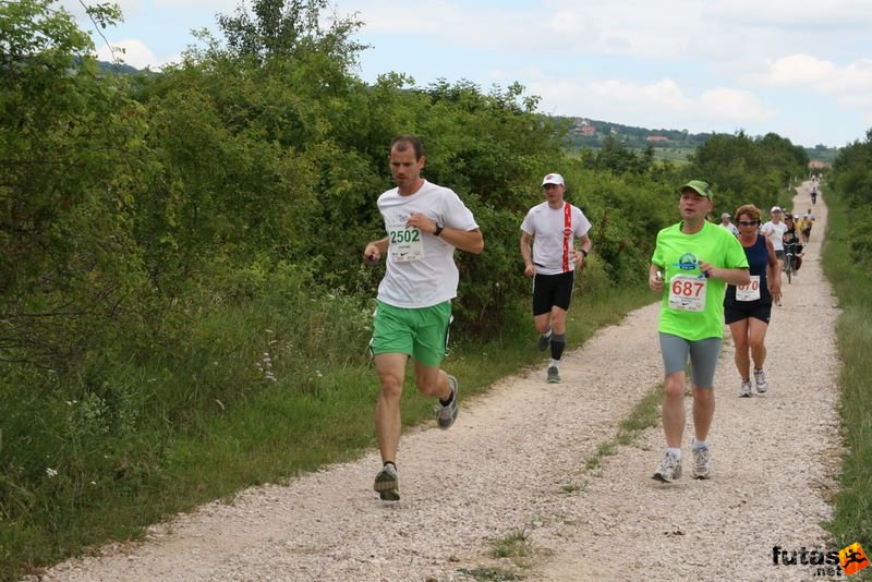 Ultrabalaton Running 2010, Les Thons Mayonaise au Bal'a'thon