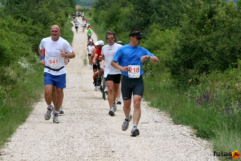 Ultrabalaton Running 2010, Agárdi Agarak futók