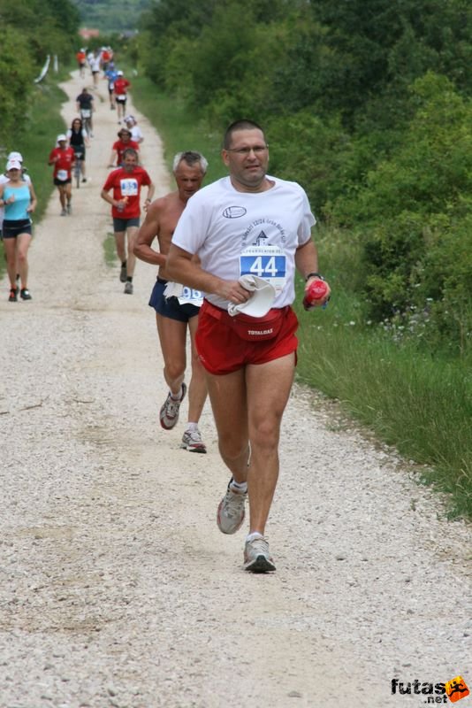 Ultrabalaton Running 2010, Amat ultrafutó Futóbolondok Se