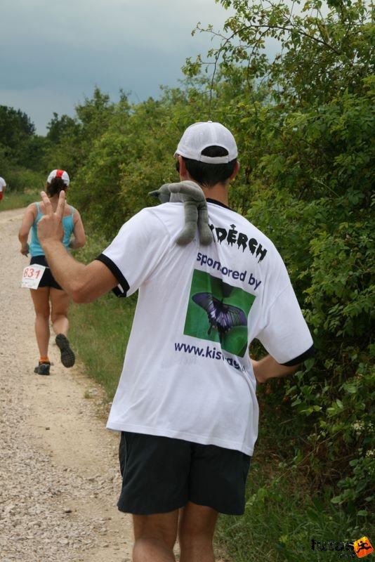 Ultrabalaton Running 2010, Ultrabalaton