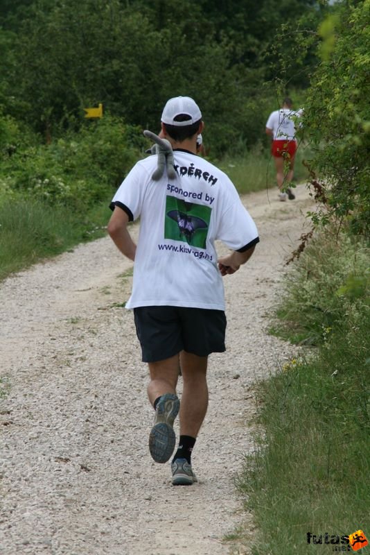 Ultrabalaton Running 2010, Ultrabalaton Lydérch
