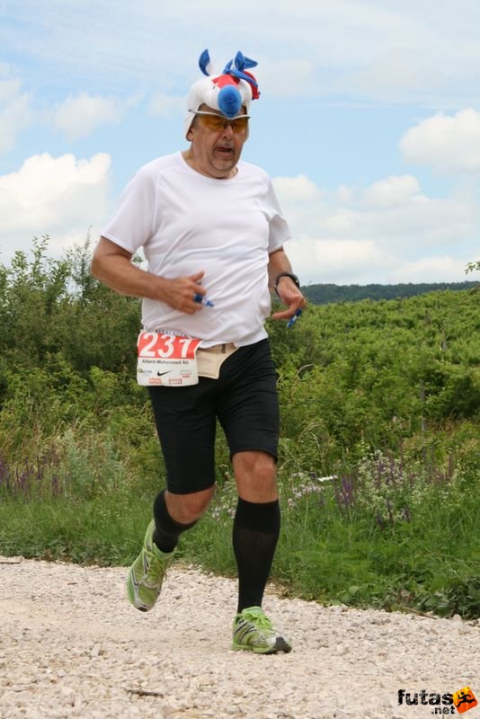 Ultrabalaton Running 2010, Alltech-Muhammed Ali runners