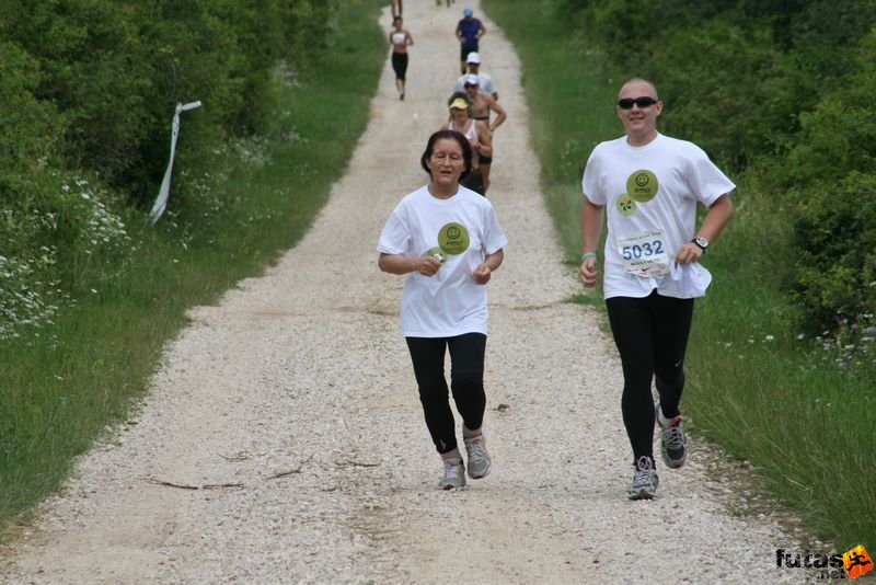 Ultrabalaton Running 2010, Mosoly váltó