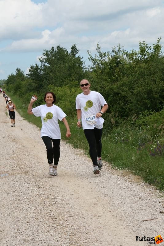 Ultrabalaton Running 2010, Mosoly váltó futók