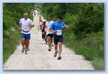 Ultrabalaton Running 2010 Agárdi Agarak futók