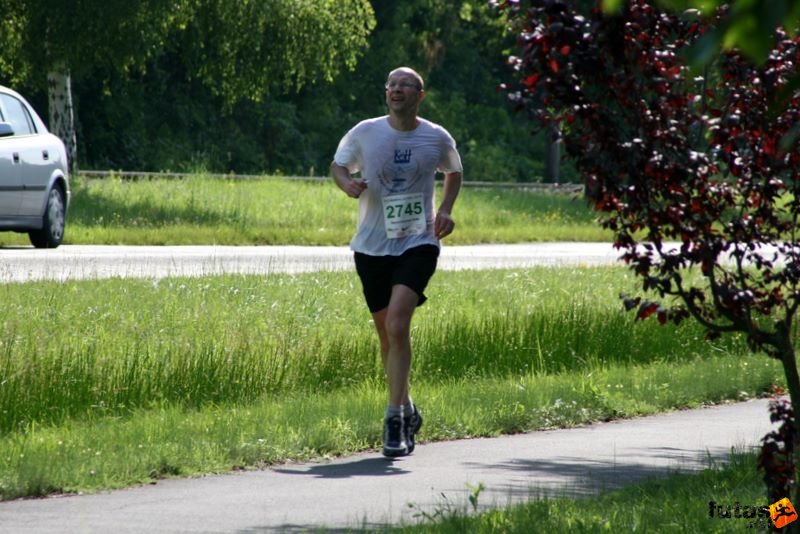 Ultramarathon Ultrabalaton Hungary, Bajnai kick-box SzSport Egyesület