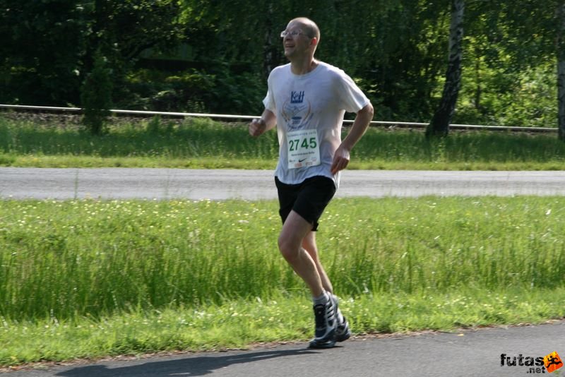 Ultramarathon Ultrabalaton Hungary, Bajnai kick-box SzSe futó
