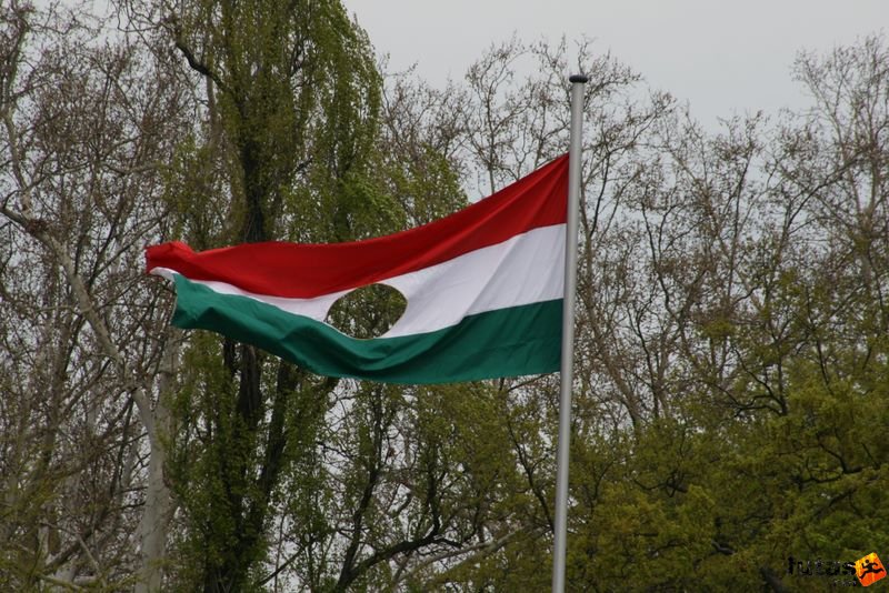 T-Home Vivicittá Városvédő futás 2010, Budapest 56-osok Tere