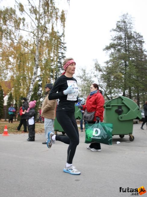 Földingné Nagy Judit Balaton Maraton futás