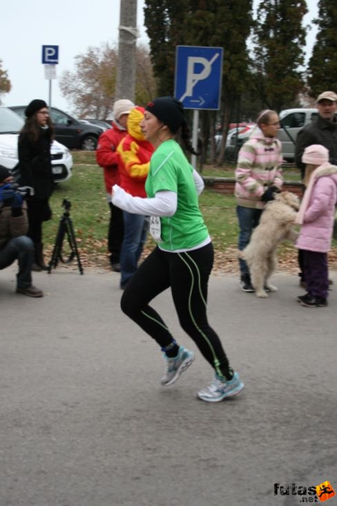 balaton_maraton_7201.jpg Balaton Maraton futás