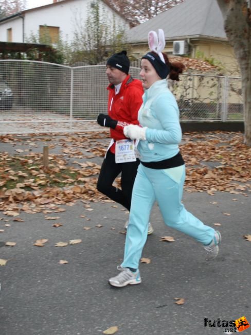 fut a nyúl Balaton Maraton futás