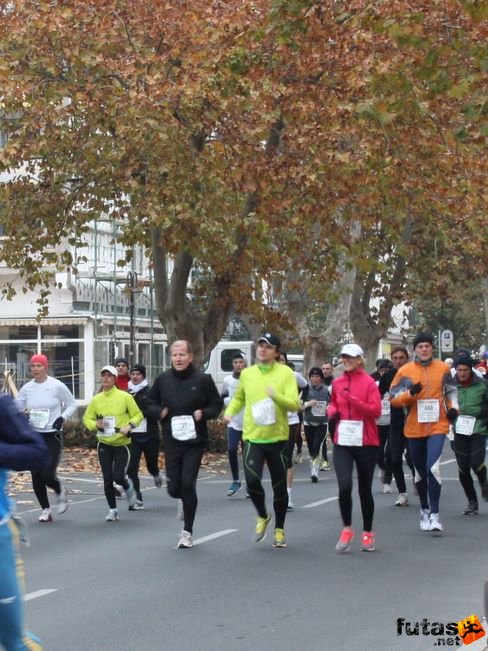 balaton_maraton_240.jpg Balaton Hatod Maraton futás