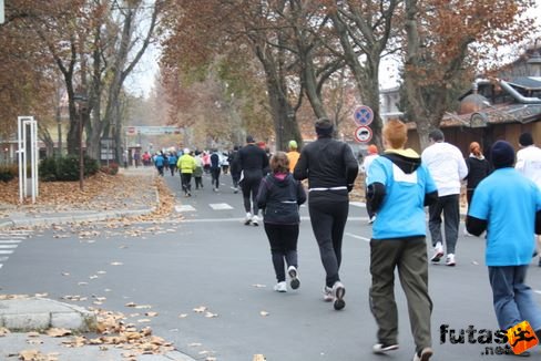 balaton_maraton_281.jpg Balaton Hatod Maraton futás