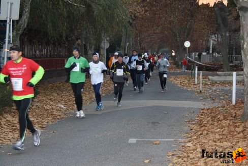 balaton_maraton_312.jpg Balaton Hatod Maraton futás