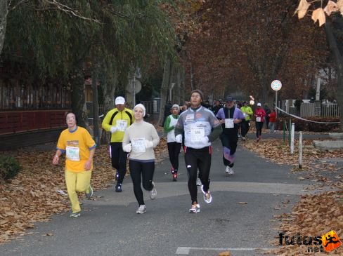 balaton_maraton_320.jpg Balaton Hatod Maraton futás
