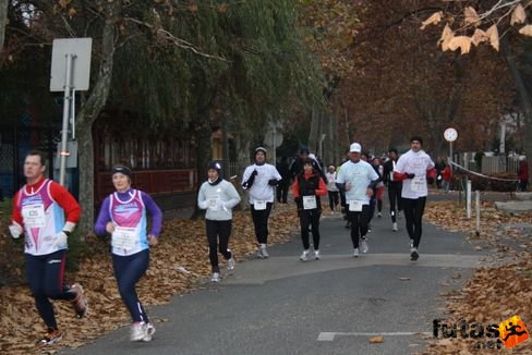 balaton_maraton_324.jpg Balaton Hatod Maraton futás