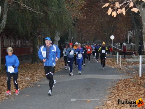 balaton_maraton_338.jpg Balaton Hatod Maraton futás
