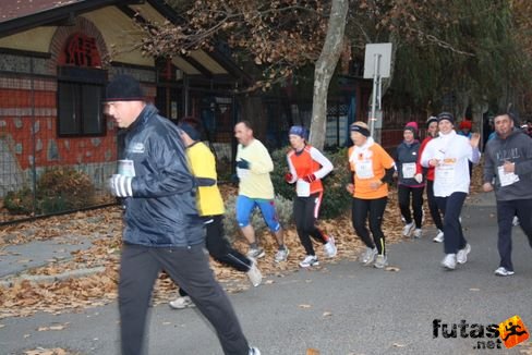 balaton_maraton_350.jpg Balaton Hatod Maraton futás
