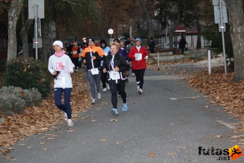 balaton_maraton_366.jpg Balaton Hatod Maraton futás