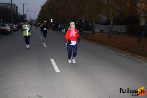 balaton_maraton_500.jpg Balaton Hatod Maraton futás