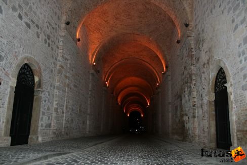 teliholdfutam_3964.jpg Teliholdfutam futás