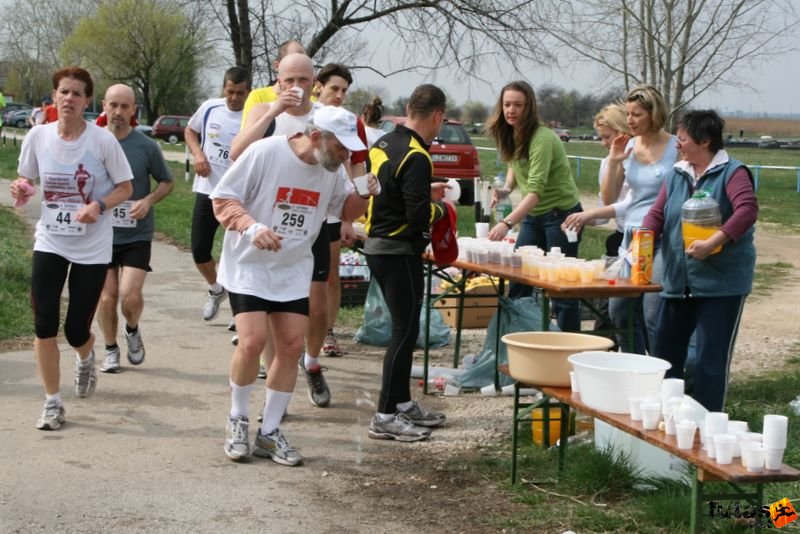 Tóparti Futóparti Futás Agárd, futoparti_7806.jpg