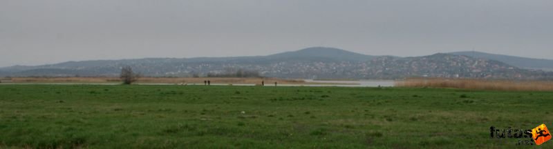 Depónia Tóparti-Futóparti futás előtt, Velencei-tó 2011