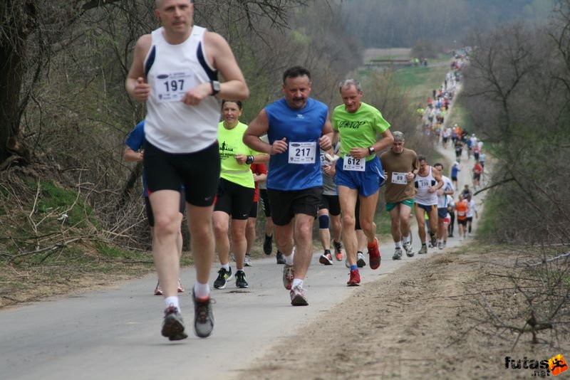 Tóparti Futóparti Futás Velence Pákozd futószakasz, futoparti_7336.jpg