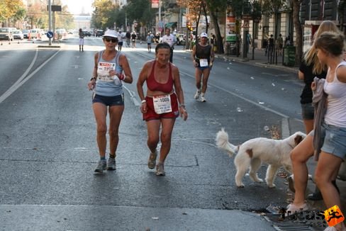 budapest_marthon_2959.jpg Budapest Marathon futás