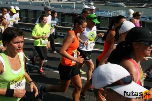 budapest_half_marathon_7147.jpg Budapest Félmaraton futás