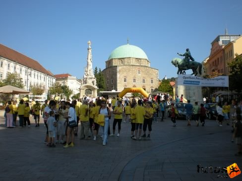 fuss_rakkutatasert_pecs_013.jpg Fuss a Rákgyógyításért Pécsen futás